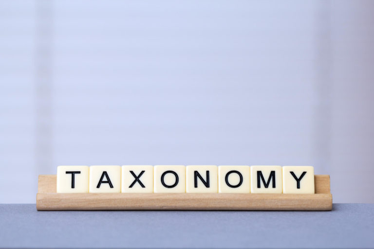 Taxonomy spelled out on white tiles displayed on a small wood shelf.